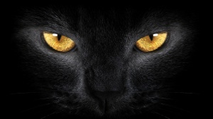 wallpapers-Black-Cat-eyes-1366x768
